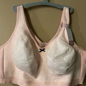 - **CACIQUE/LANE BRYANT LIGHT PINK BRA**